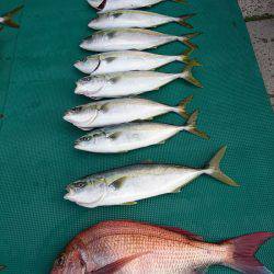 まるいち丸 ZERO-1 釣果