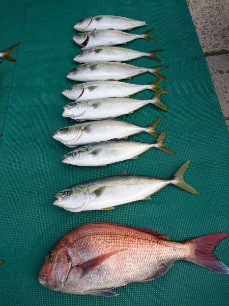 まるいち丸 ZERO-1 釣果