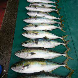 まるいち丸 ZERO-1 釣果