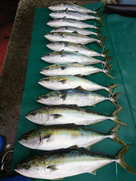 まるいち丸 ZERO-1 釣果