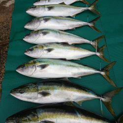 まるいち丸 ZERO-1 釣果