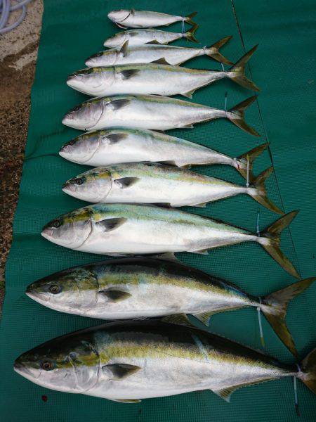 まるいち丸 ZERO-1 釣果