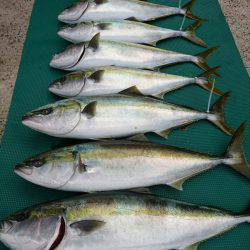 まるいち丸 ZERO-1 釣果