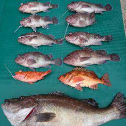 まるいち丸 ZERO-1 釣果