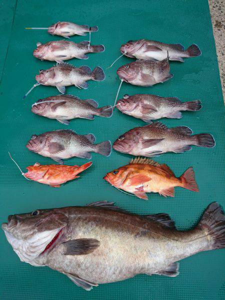 まるいち丸 ZERO-1 釣果