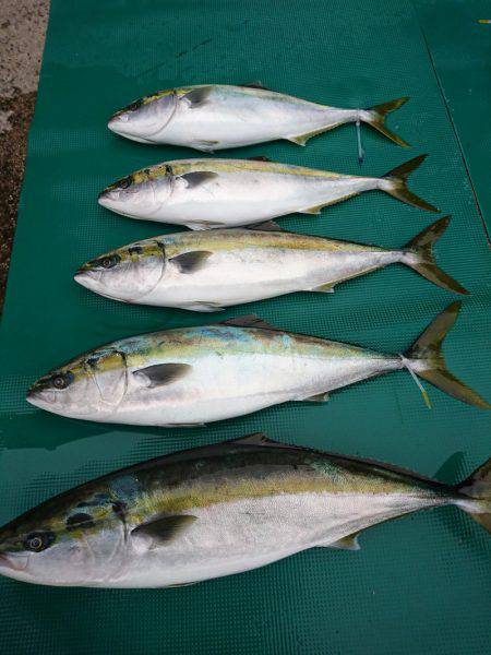 まるいち丸 ZERO-1 釣果