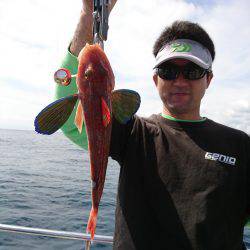 まるいち丸 ZERO-1 釣果