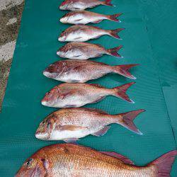 まるいち丸 ZERO-1 釣果