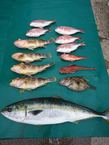 まるいち丸 ZERO-1 釣果