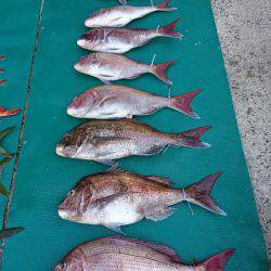 まるいち丸 ZERO-1 釣果