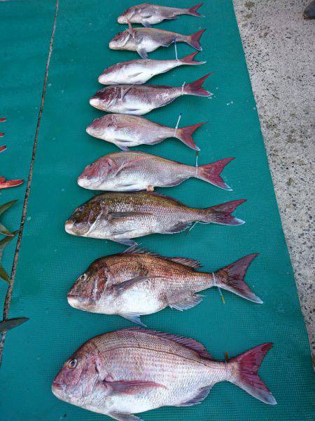 まるいち丸 ZERO-1 釣果