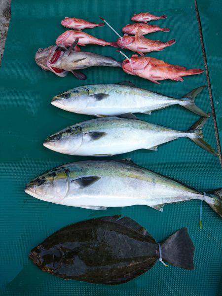 まるいち丸 ZERO-1 釣果