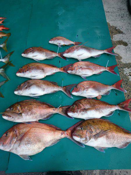 まるいち丸 ZERO-1 釣果