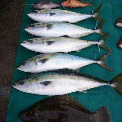 まるいち丸 ZERO-1 釣果