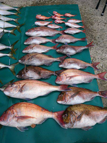 まるいち丸 ZERO-1 釣果