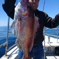 まるいち丸 ZERO-1 釣果