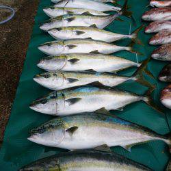 まるいち丸 ZERO-1 釣果