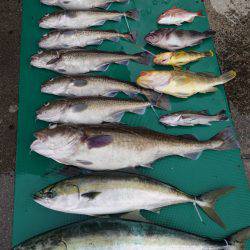 まるいち丸 ZERO-1 釣果