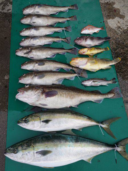 まるいち丸 ZERO-1 釣果