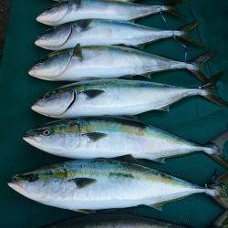 まるいち丸 ZERO-1 釣果