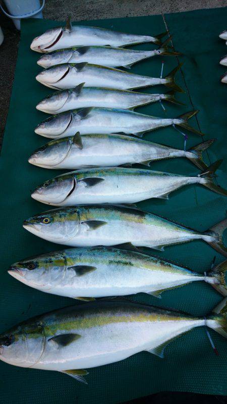 まるいち丸 ZERO-1 釣果