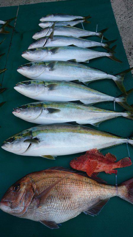 まるいち丸 ZERO-1 釣果