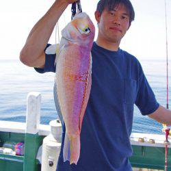 Big One　ビッグワン 釣果