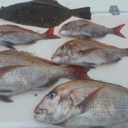 JDI Racing シールズマリンレジャー 釣果