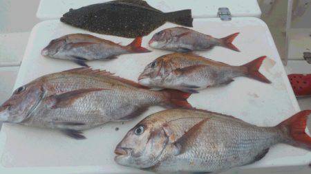 JDI Racing シールズマリンレジャー 釣果