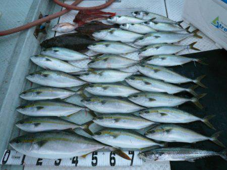 オーシャンスター(Ocean Star) …