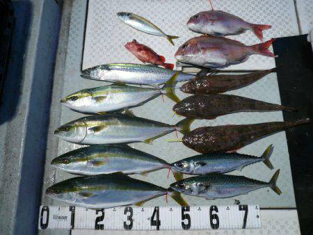 オーシャンスター(Ocean Star) …