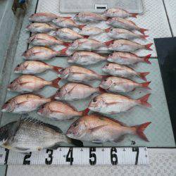 オーシャンスター(Ocean Star) 釣果