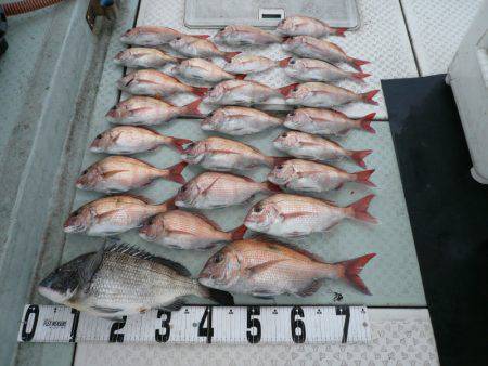 オーシャンスター(Ocean Star) …