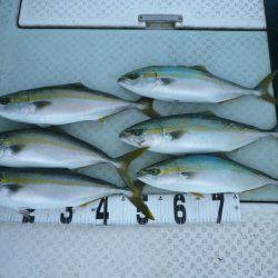 オーシャンスター(Ocean Star) 釣果