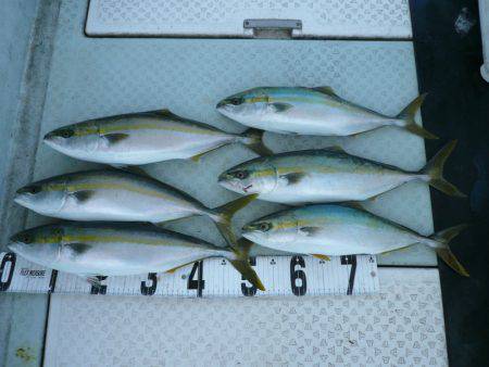 オーシャンスター(Ocean Star) …