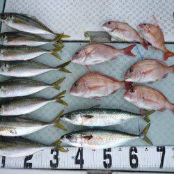 オーシャンスター(Ocean Star) 釣果