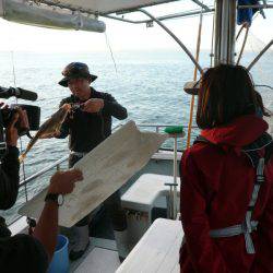 オーシャンスター(Ocean Star) 釣果