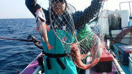 ぽん助丸 釣果