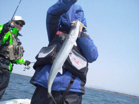 ひな丸 釣果