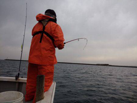 ひな丸 釣果