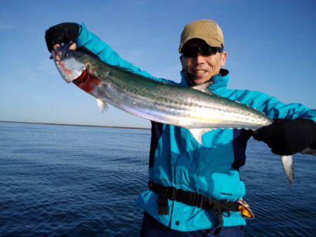 ひな丸 釣果
