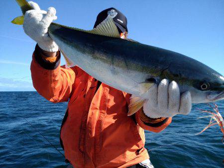 ひな丸 釣果