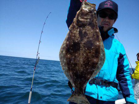 ひな丸 釣果