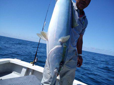 ひな丸 釣果