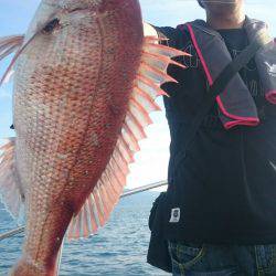 シースナイパー海龍 釣果