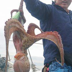 シースナイパー海龍 釣果