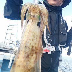 シースナイパー海龍 釣果
