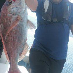 シースナイパー海龍 釣果
