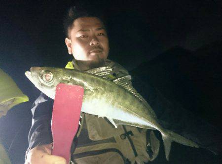 シースナイパー海龍 釣果