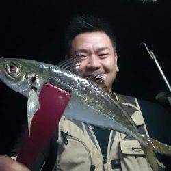 シースナイパー海龍 釣果